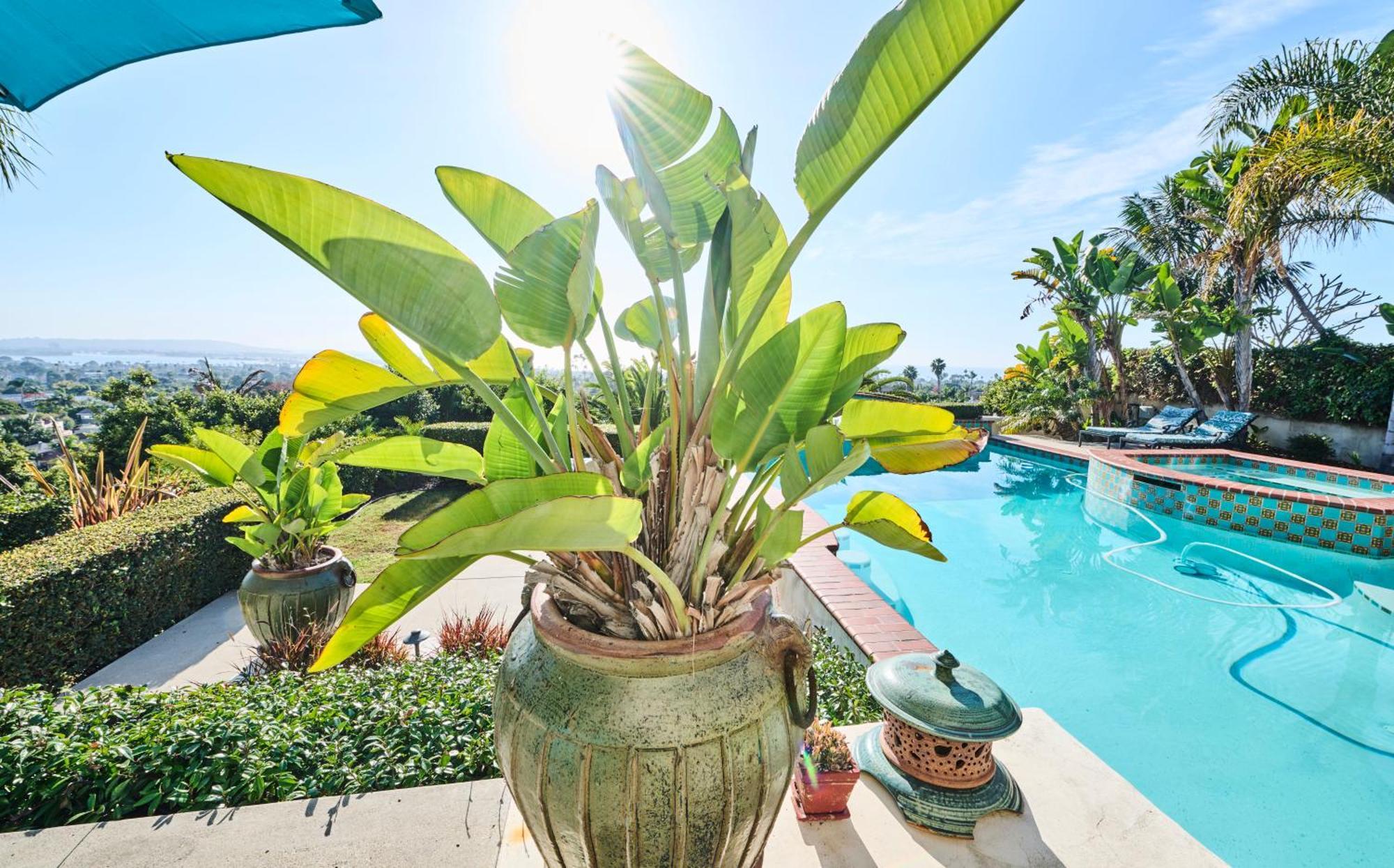 360 Degree Ocean & City Views With Pool, Spa, Close To The Beach! Pets Ok San Diego Exterior photo